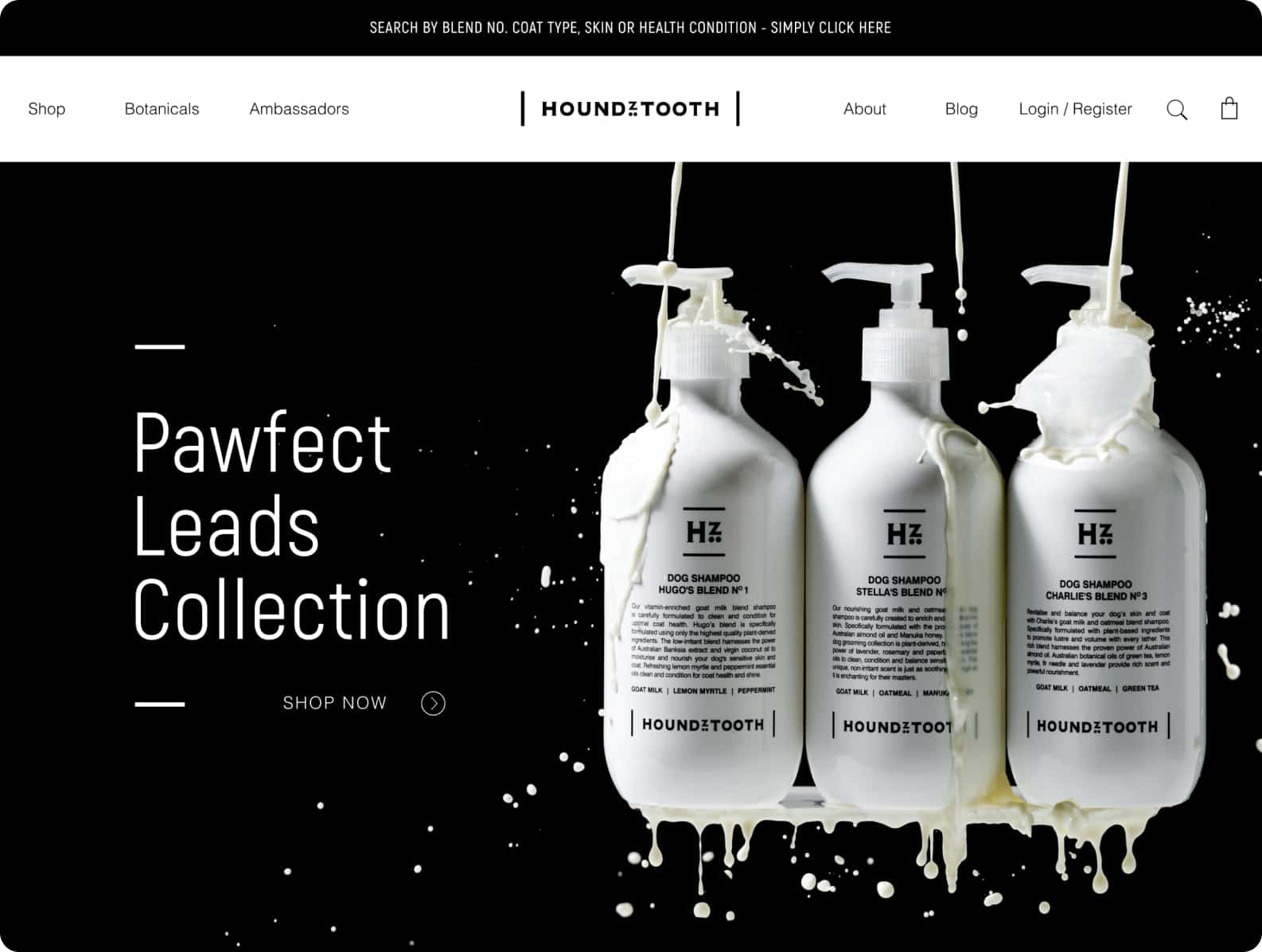 Custom Web Design & Development